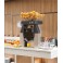 ZUMMO Z40 Presse-agrumes automatique